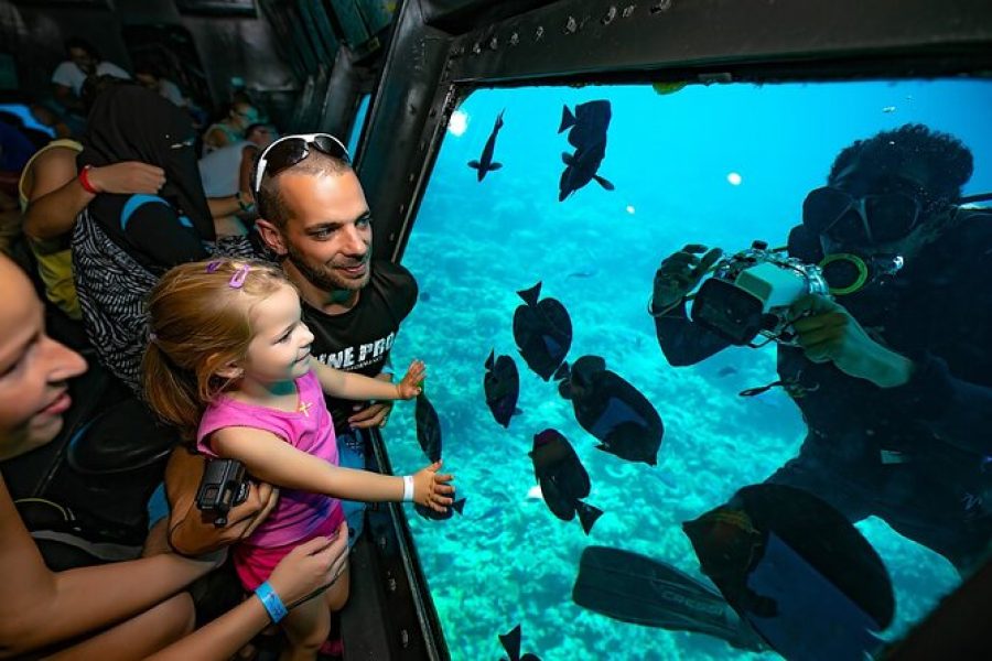 SeaScope Semi‑Submarine Reef Tour