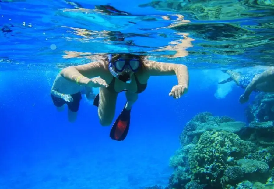 Tiran Island Full day By Boat