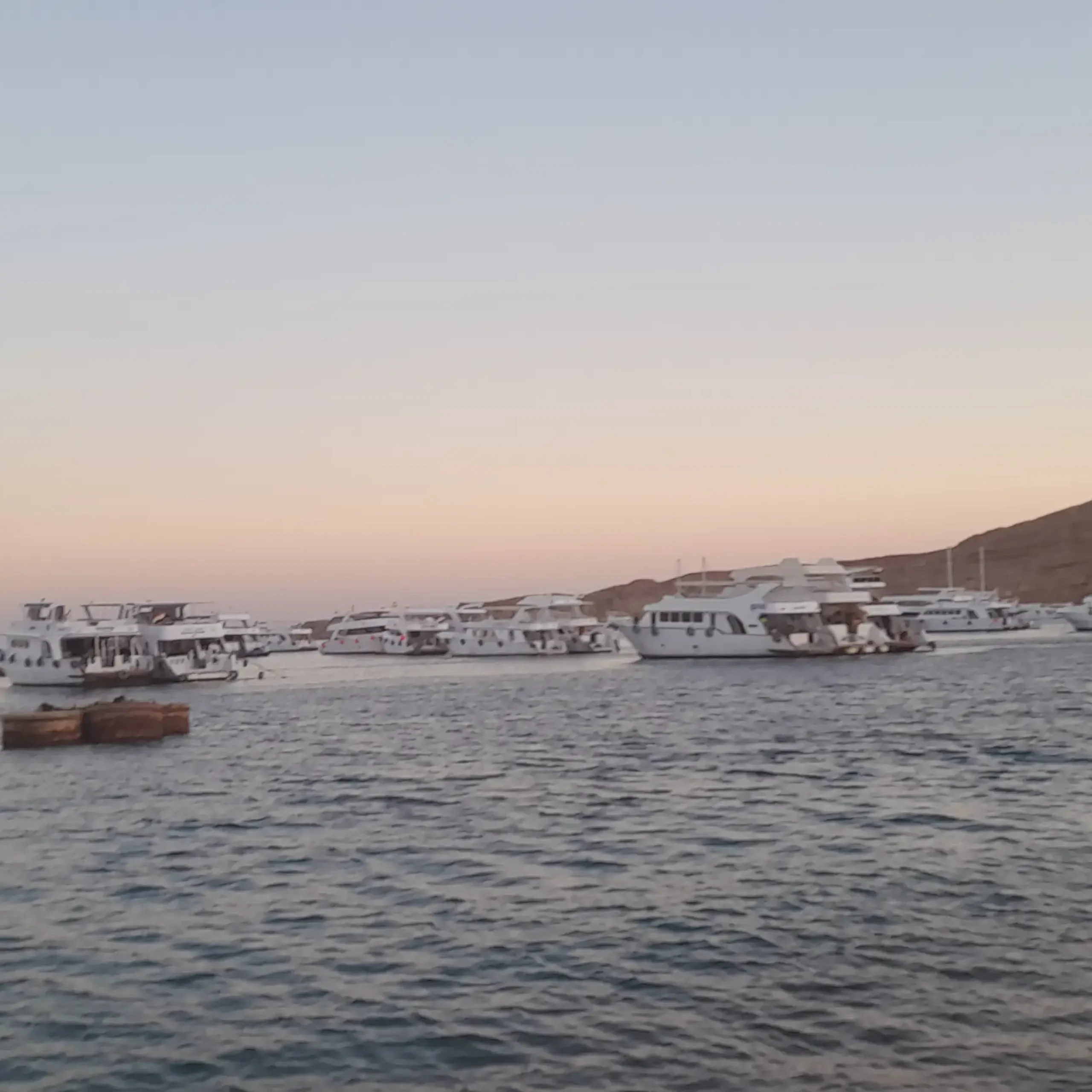 Ras Mohamed National Park and White Island by Boat