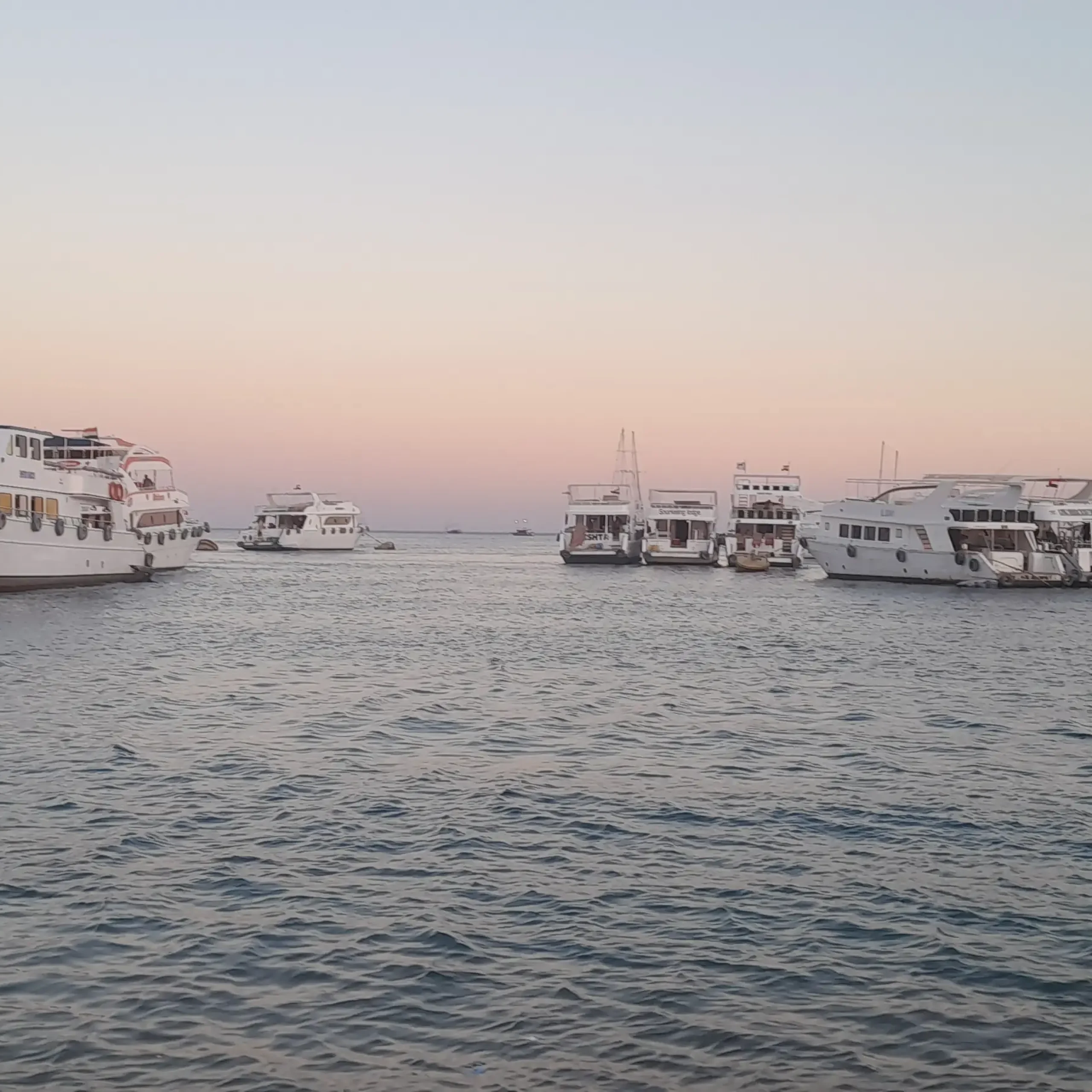 Ras Mohamed National Park and White Island by Boat