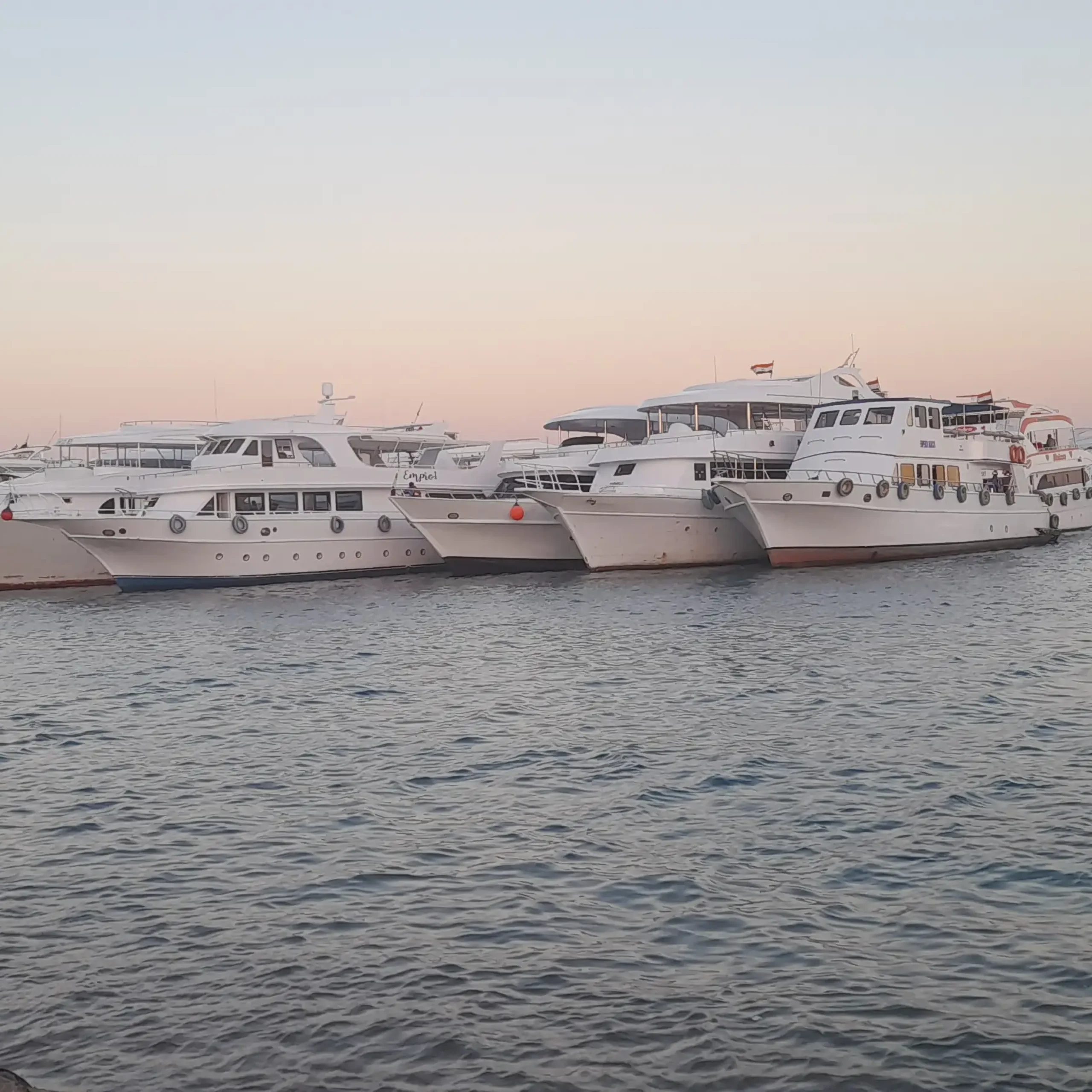 Ras Mohamed National Park and White Island by Boat