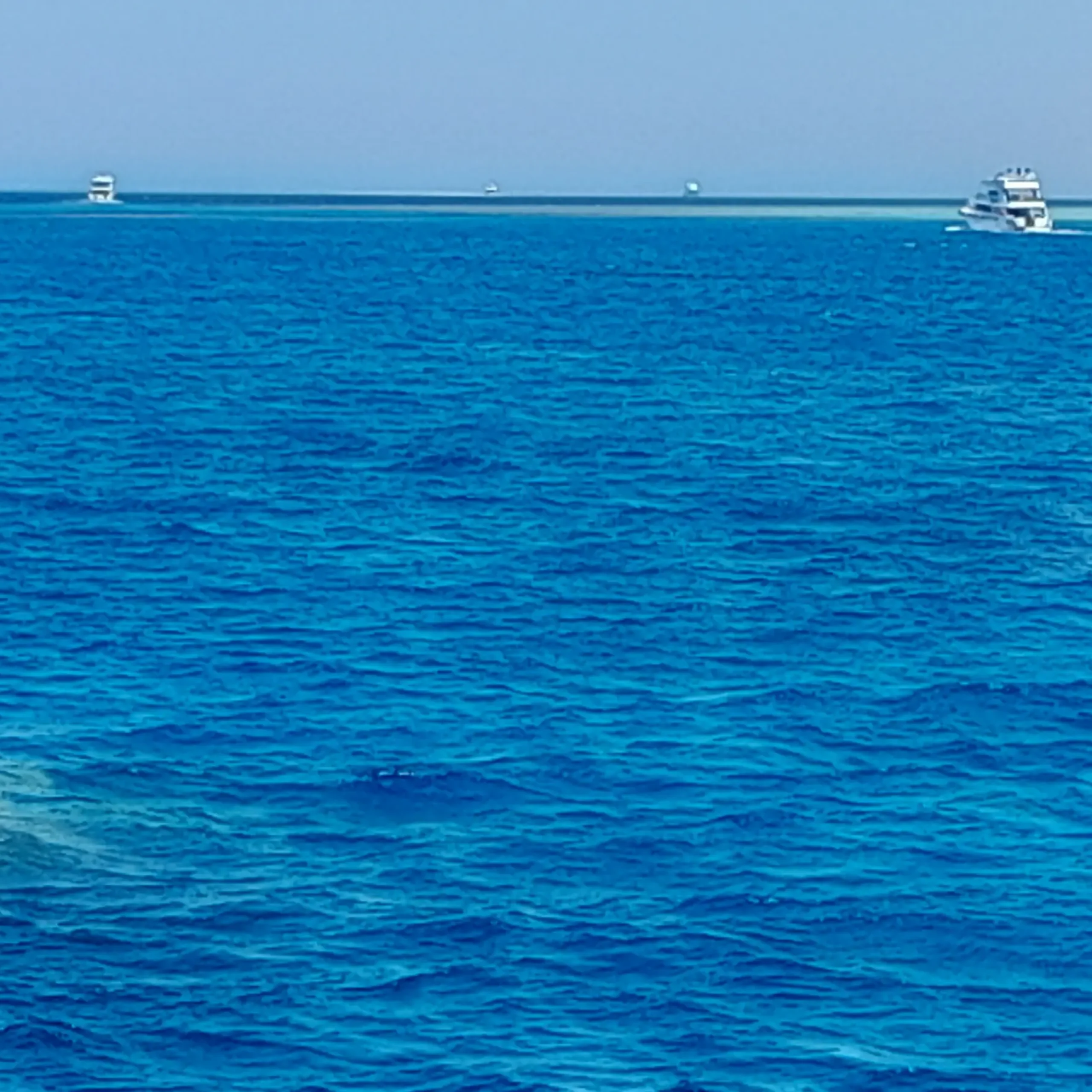 Ras Mohamed National Park and White Island by Boat