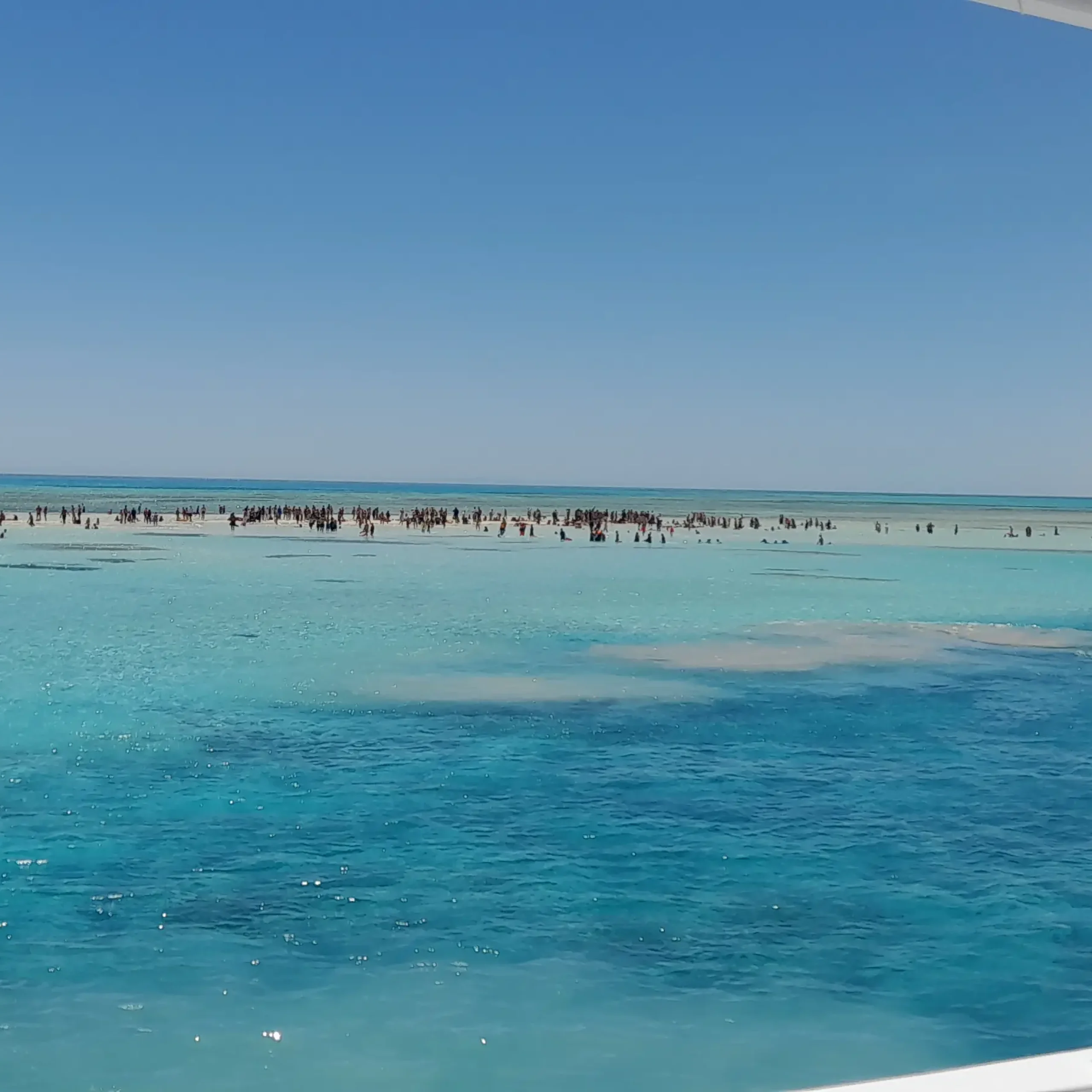 Ras Mohamed National Park and White Island by Boat