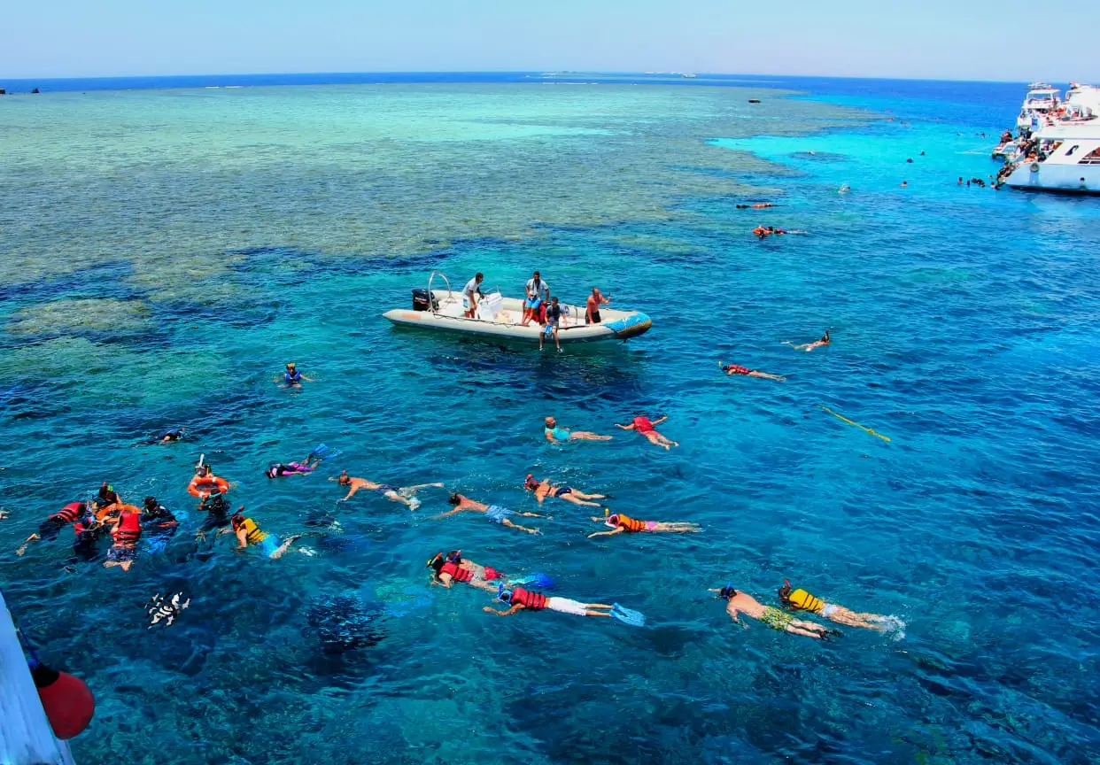 Tiran Island Full day By Boat