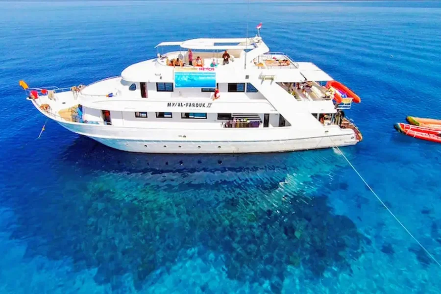 Ras Mohamed National Park and White Island by Boat