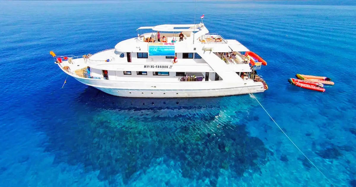 Ras Mohamed National Park and White Island by Boat