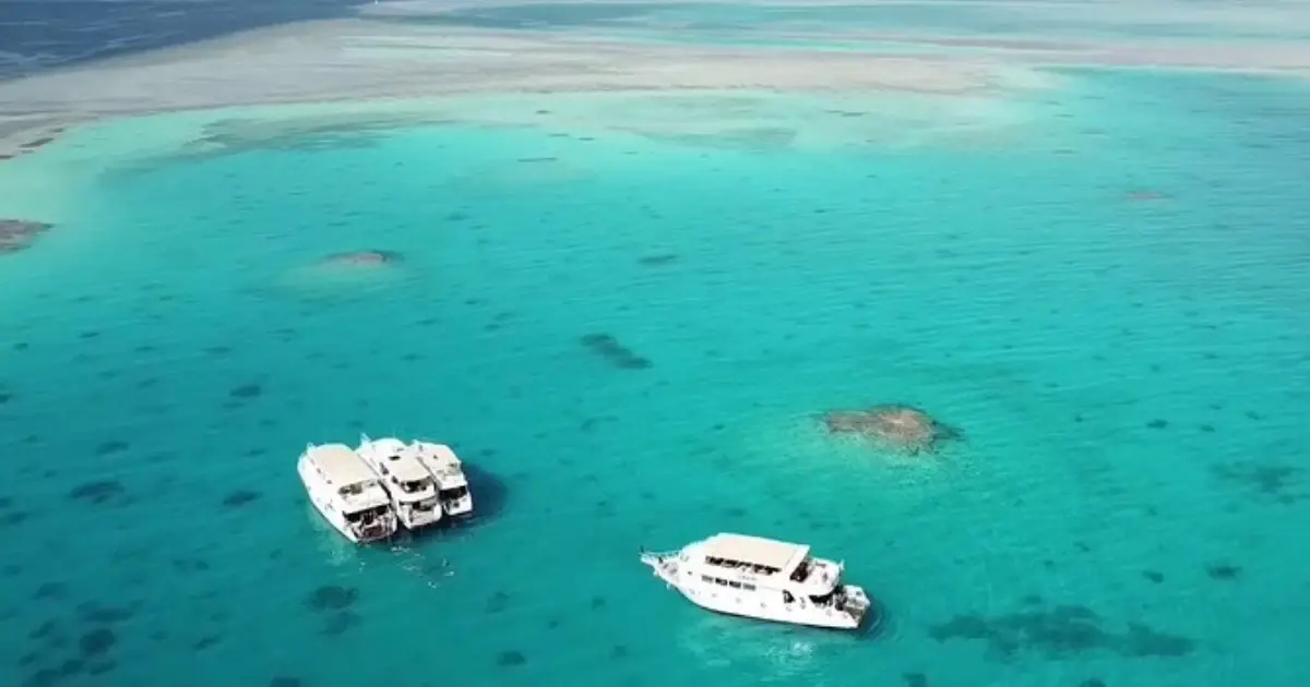 Ras Mohamed National Park and White Island by Boat