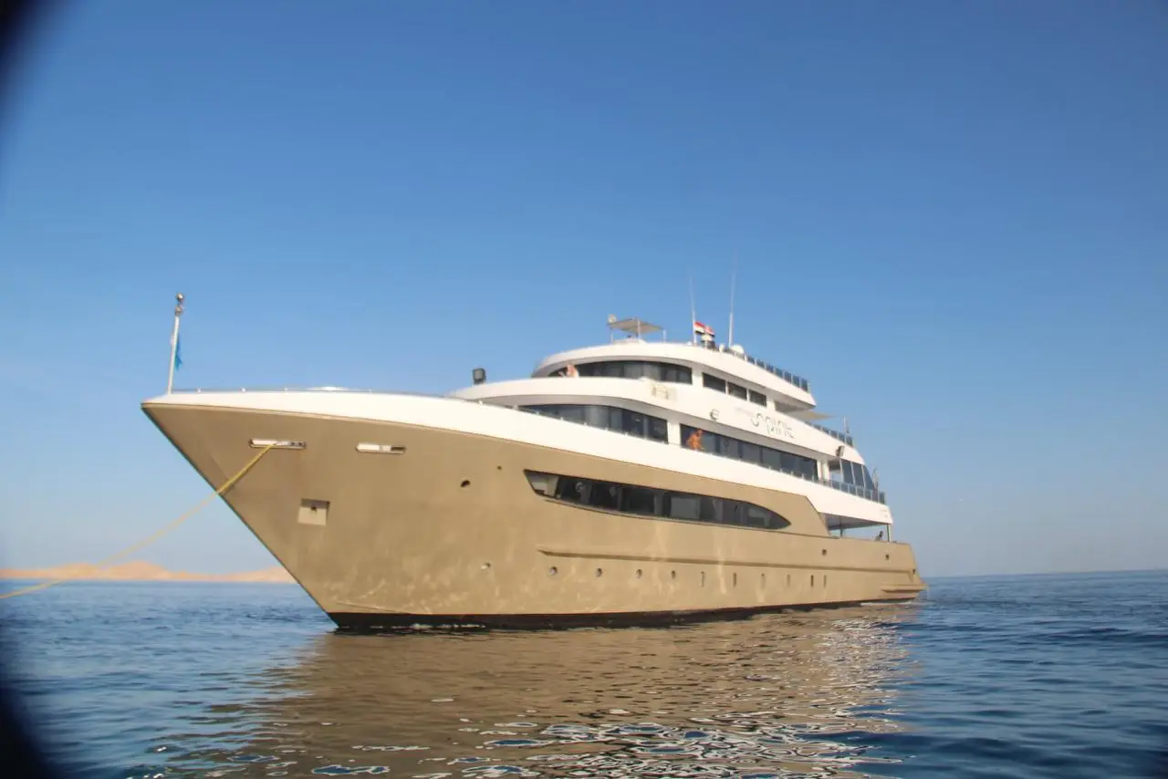 Tiran Island Full day By Boat