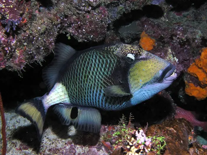 Ras Mohammed Park and Magic Lake by bus