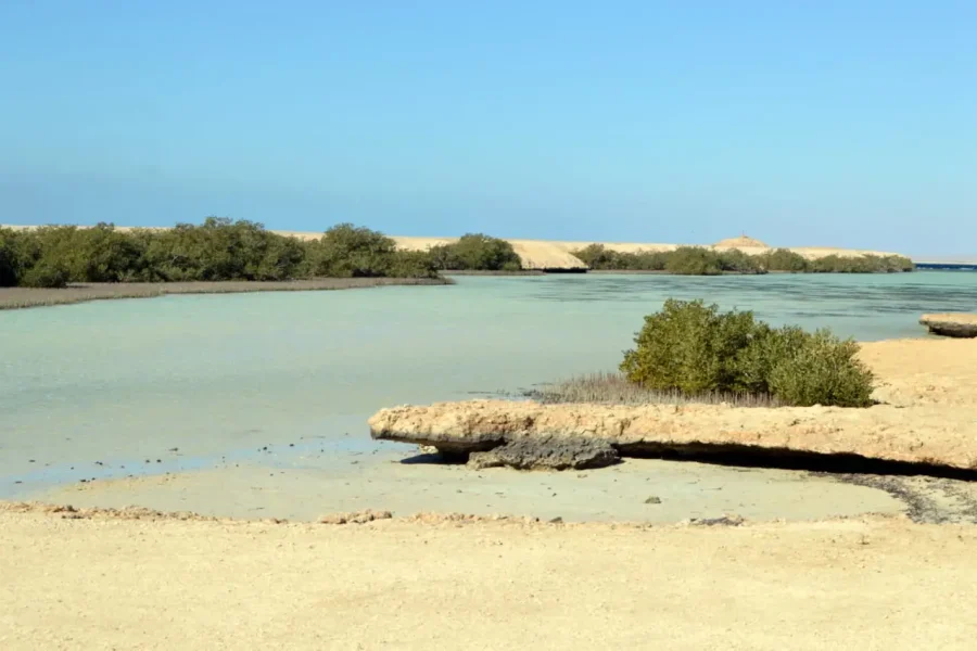 Ras Mohammed Park and Magic Lake by bus