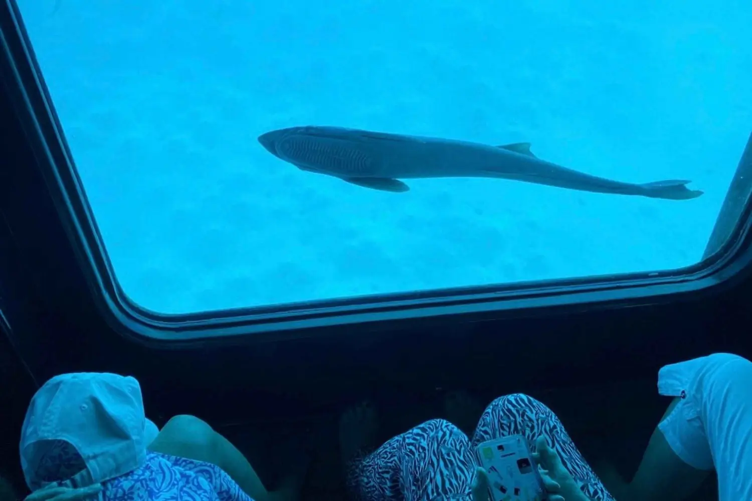 Sea Scoop Semi Submarine