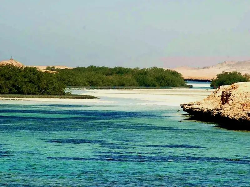 Ras Mohammed Park and Magic Lake by bus