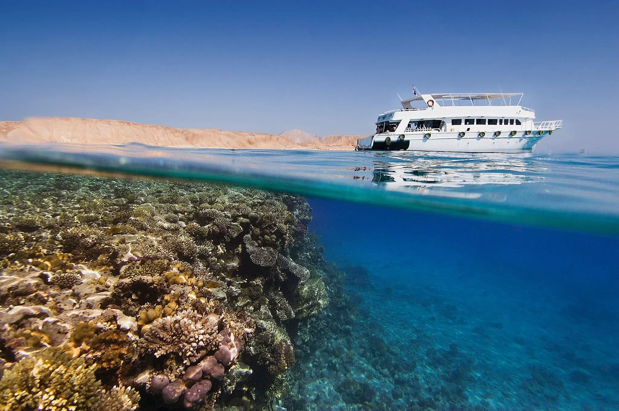 Tiran Island Full day By Boat